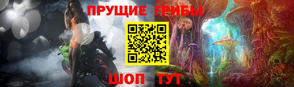 Первоуральск  магазин    Вход с VPN  Галлюциногенные грибы Cubensis 